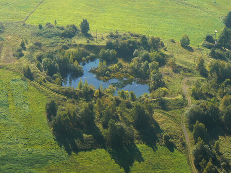 Každý, i velmi malý rybník, je výrazným centrem biodiverzity v přírodě.