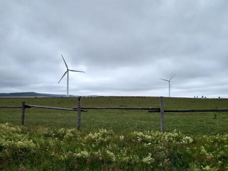 Větrné elektrárny mohou sice přispět k nízkoemisnímu mixu, ale jen omezeně.