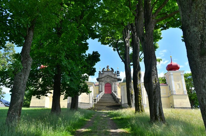 Alej ke klášteru Hora Matky Boží v Dolní Hedči. Alej ke klášteru Hora Matky Boží v Dolní Hedči.