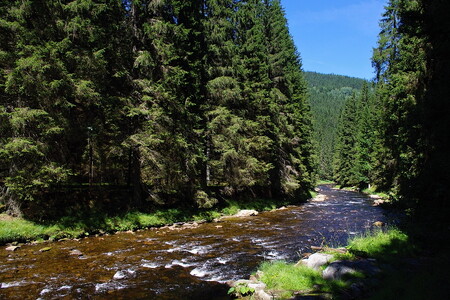 Řeka Křemelná pramení na serverním svahu hory Pancíř.