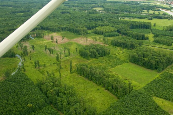 Rozsah těžby dřeva je na Soutoku v posledních desetiletích podle odborných společností mimořádný. Na obrovských území střídají staleté stromy paseky.