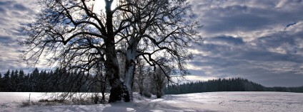 Foto: Ludvík Plašil / Nadace Partnerství Foto: Ludvík Plašil / Nadace Partnerství