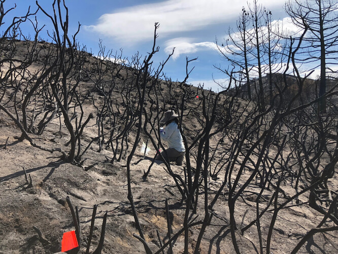 Výzkumný pracovník Kalifornská univerzita v Riverside odebírá vzorky půdy ze spáleniště po požáru Holy Fire v roce 2018 v jižní Kalifornii.