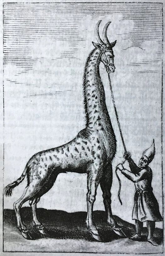 Na obrázku je žirafa z německého vydání Harantova cestopisu.