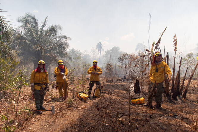 Členové dobrovolného hasičského sboru UUBR hasí požár poblíž bolivijského městečka Concepcion. 