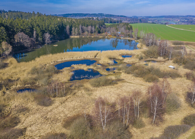Dolní Bradlo - rybník, tůně a mokřady.