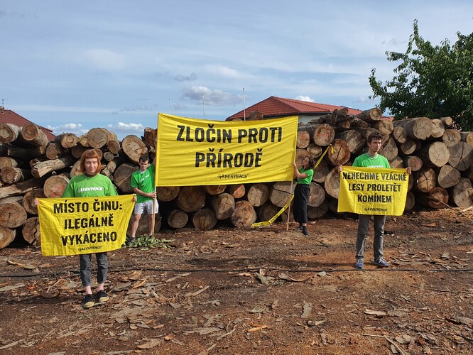 Aktivisté a aktivistky Greenpeace protestují u firmy, která zpracovává ilegálně vytěžené dřevo.