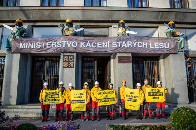 Aktivisté Greenpeace vylezli na žebříky a přejmenovali Ministerstvo zemědělství na Ministerstvo kácení starých lesů.