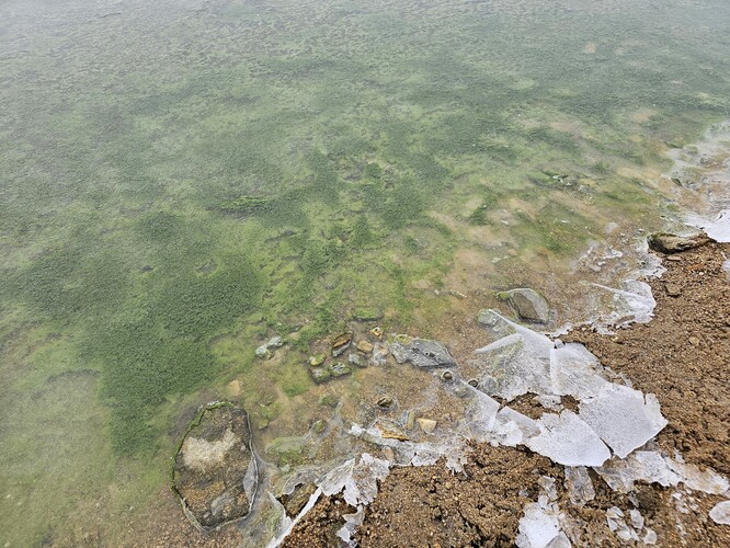 Zelený led na Lipně v prosinci 2025. Zelený led na Lipně v prosinci 2025.