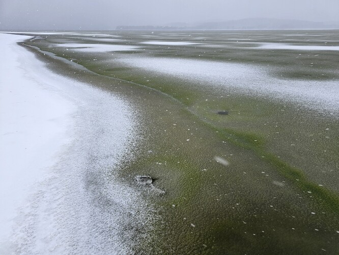 Zelený led u osady Radslav, 24. prosinec 2025. Zelený led u osady Radslav, 24. prosinec 2025.