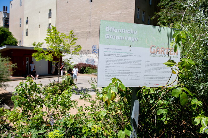 Komunitní zahrady v Berlíně kvetou (nejen) díky straně Zelených.