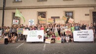 demonstrace na podporu Bělověžského pralesa