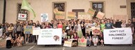demonstrace na podporu Bělověžského pralesa
