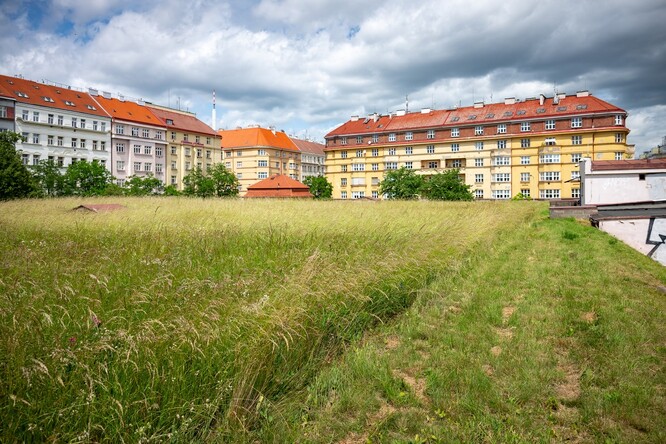 Rozkvetlé a pestré vodojemy Rozkvetlé a pestré vodojemy