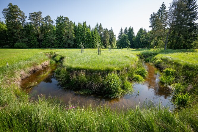 Protipovodňová opatření na řece Svratce Protipovodňová opatření na řece Svratce