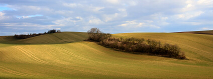 zemědělská krajina Foto: Petr Hykš Flickr