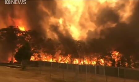 Rozsáhlé požáry v Austrálii se přímo či nepřímo dotkly více než tří čtvrtin obyvatel země, tedy 18 milionů lidí. / Ilustrační foto
