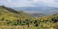 Keňský národní park Aberdare