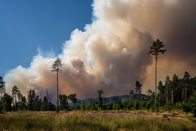 Požár v Národním parku České Švýcarsko v červenci 2022.