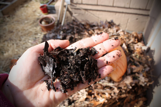 Základní surovinou přírodní zahrady je kompost. Ilustrační foto