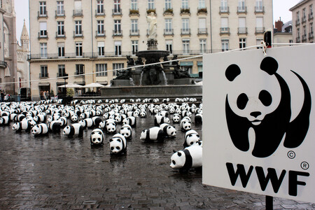 WWF si ve světě praktické ochrany přírody vydobyla kladnou reputaci a ještě donedávna byla považována za profesní jedničku.