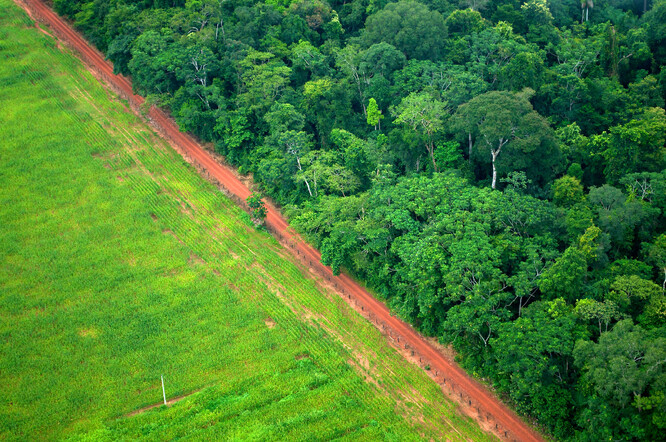 Letecký snímek ukazuje kontrast mezi lesní a zemědělskou krajinou poblíž brazilského Rio Branco.