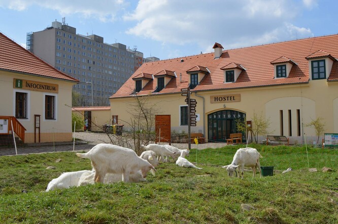 Středisko environmentální výchovy Toulcův dvůr sídlí v historické zemědělské usedlosti.