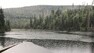 Jezero Laka, kam se po ústupu acidifikce (a kůrovcové gradaci po orkánu Kyrill v roce 2007) spontánně vrátili pstruzi.
