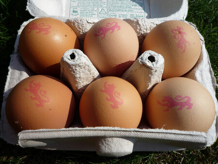 ...nebo prodávat vajíčka. ...nebo prodávat vajíčka.