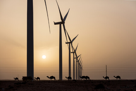 Tarfaya, v Maroku ležící instalace větrníků byla v roce 2016 se svými 300 MW největší na africkém kontinentu.