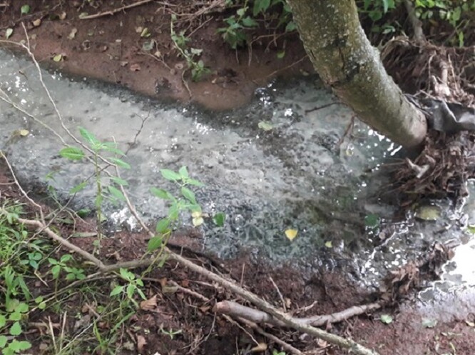 Znečištěné povrchové vody kontaminovaly potok Dobroučka a řeku Tichá Orlice.