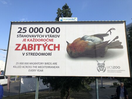 Pět billboardů upozorňujících na masakry tažných ptáků ve Středomoří je umístěno v Bratislavě: na Ivanské cestě, u výjezdu z letiště, na Bajkalské a Vanorské ulici a na Trnavském mýtě.