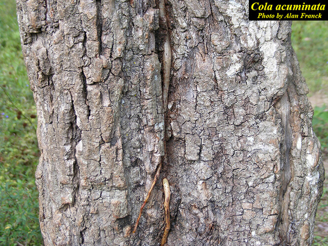 Ilustrační foto Ilustrační foto