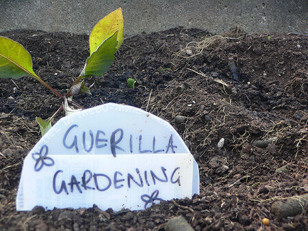 Guerilla gardeningu je dost možná projevem poptávky a nespokojenosti lidí, že jim byla vzata možnost být součástí své obce.