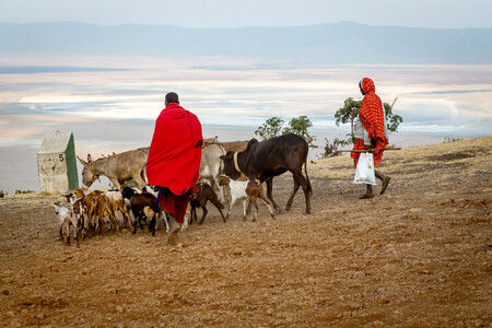 V celém východoafrickém regionu Serengeti-Mara jich je za poslední desetiletí o 400 % lidí víc. Ilustrační snímek.