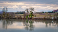 Řeka Rhône v zimě