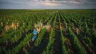 Zemědělství v Moldávii
