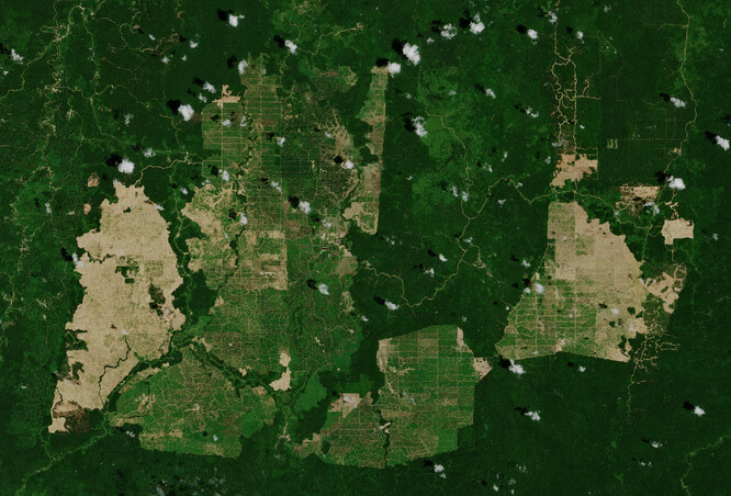 Satelitní snímek z Copernicus Sentinel-2 zachycuje palmové plantáže ve východním Kalimantanu - indonéské části ostrova Borneo.