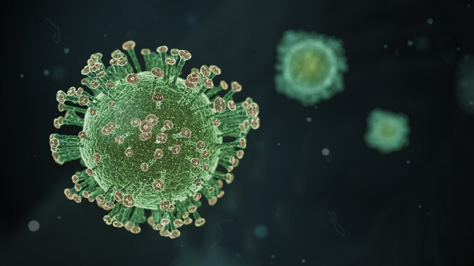 Současnou pandemii koronaviru spustila souhra tří hlavních příčin. Ilustrační kresba.
