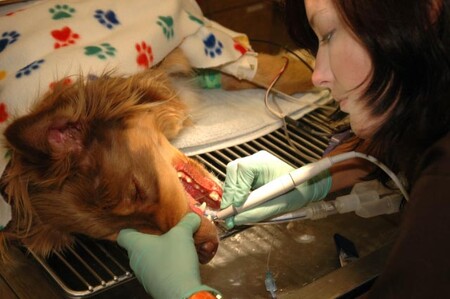 Ošetření zubů ultrazvukem jen v anestezii. Ilustrační snímek.
