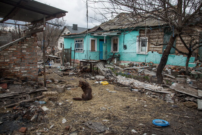 Válkou poničená vesnice Novoselivka na Ukrajině.
