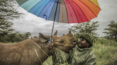 Projektem, kterému se fotografka také věnuje, je přemísťování nosorožců do rezervace Sera.