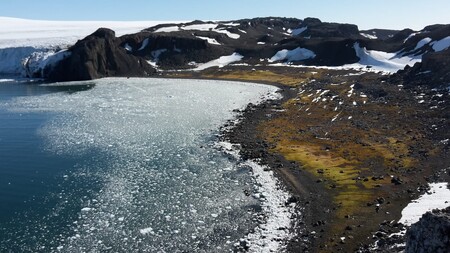 Jižní ledový oceán, který Antarktidu obklopuje, je podle vědců nejčistším na světě. Odpad vyplavený na břeh je tak podle Kaplera důkazem, že lidská činnost a znečištění způsobené člověkem ohrožuje celou planetu. Na snímku Nelsonův ostrov.
