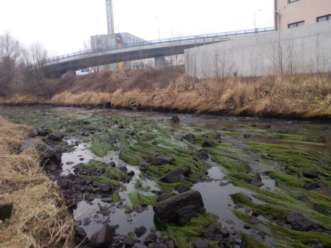 Snížená hladina vody na řece Ploučnici.