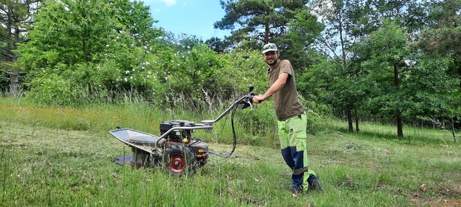 Velkým pomocníkem v údržbě trávníků je sekačka, kterou lze posekat i větší plochy, ale i vyšší a husté porosty. Důležité je vše potom vyhrabat a sklidit.
