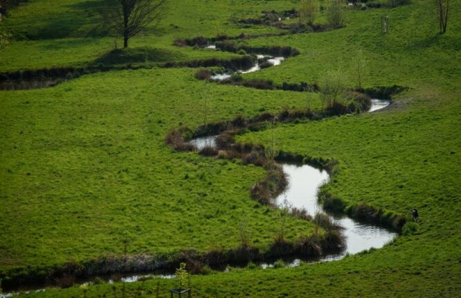 Meandrující říčky a potoky pomáhají zpomalit vodu v krajině. Na smínku meandry Rokytky v Praze, kde došlo k nahrazení regulovaného vybetonovaného koryta přirozenějším meandrujícím tokem s možností rozlivu do louky.