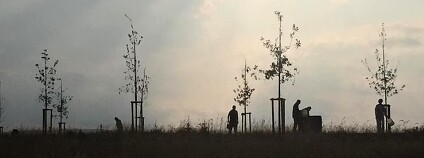 Foto: Alej roku Foto: Alej roku