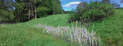 Foto: Zdeňka Kováříková / Ekolist.cz Foto: Zdeňka Kováříková / Ekolist.cz