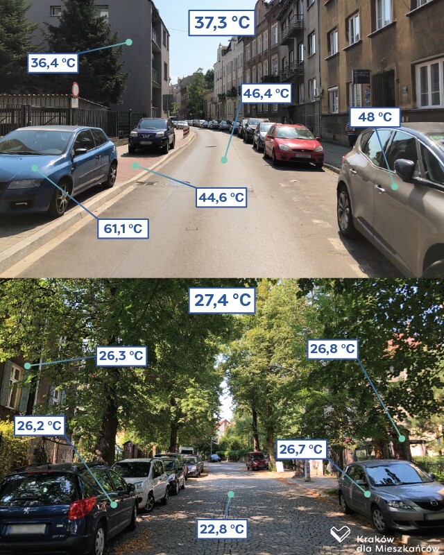 Teplotní rozdíl mezi ulicí krytou vzrostlými stromy a ulicí bez veřejné zeleně. Měření bylo provedeno ve stejném městě, v rozestupu několika minut v lokalitách vzdálených od sebe několik set metrů.