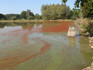 Na jaře může rybník přetížený odpadními vodami předvést překvapivé barvy – tohle jsou třeba drobní zelení bičíkovci.